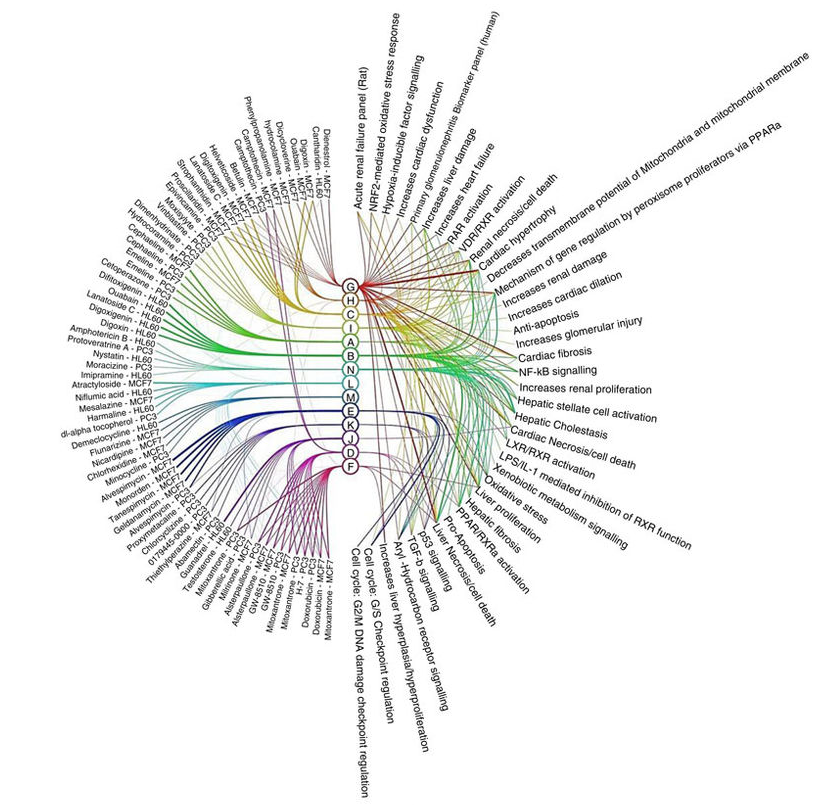 Component model visualisation